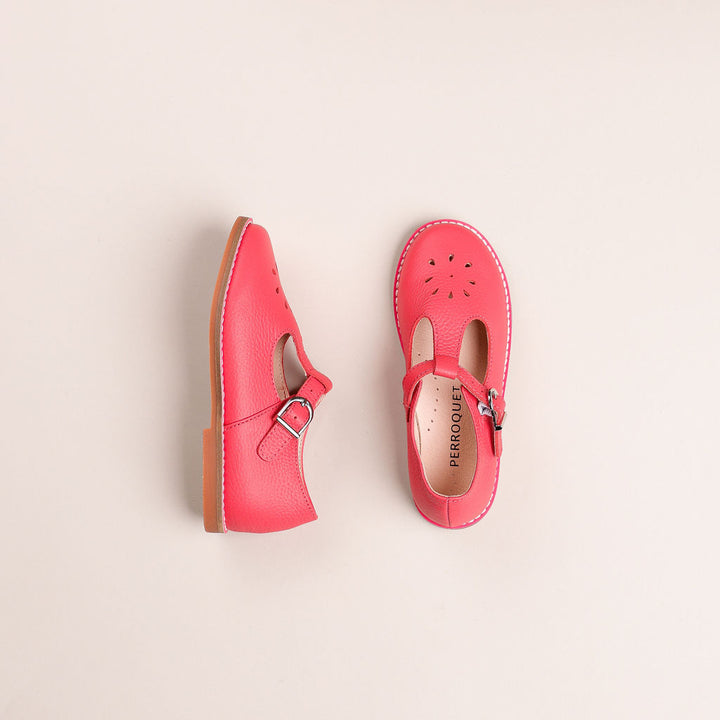 color_coral