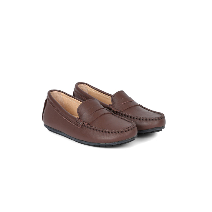 #color_brown